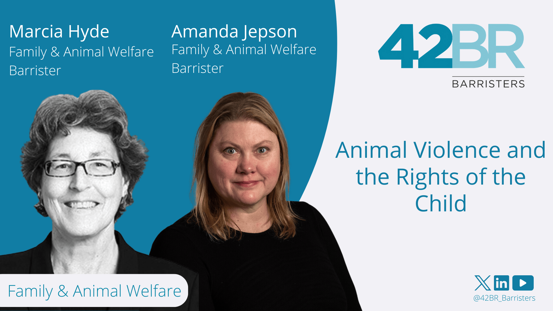 Animal Violence and the Rights of the Child