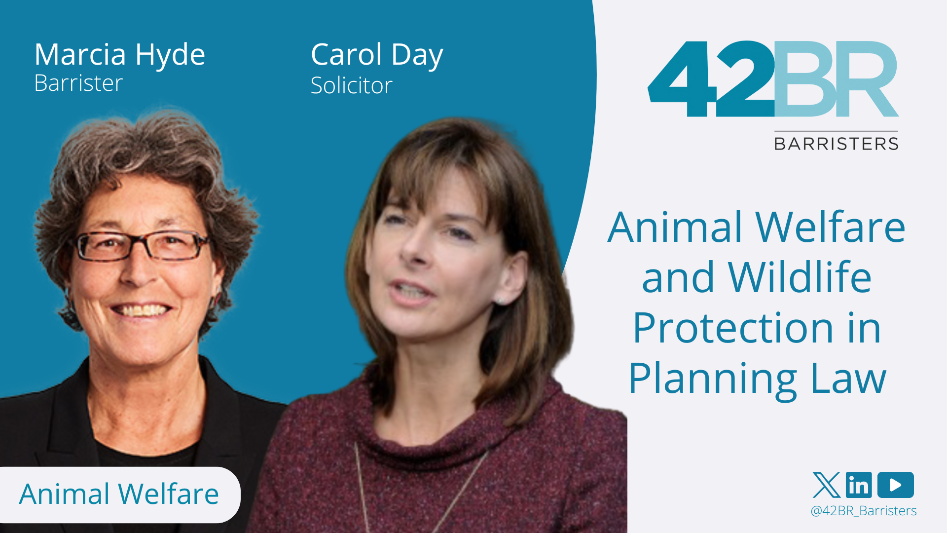 Animal Welfare and Wildlife Protection in Planning Law